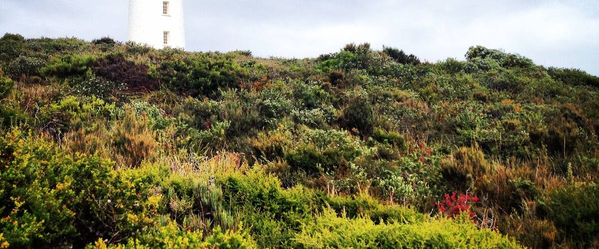 The lighthouse on Bruny Island is a beautiful spot. #weekendgetaway #tasmania #Australia #lighthouse
