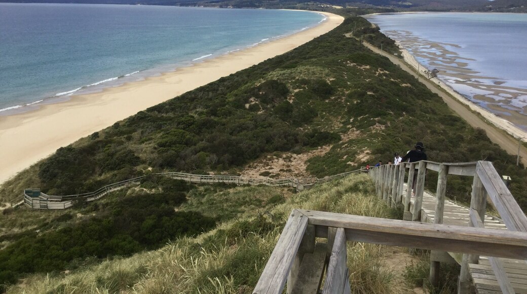 Conseil de Kingborough