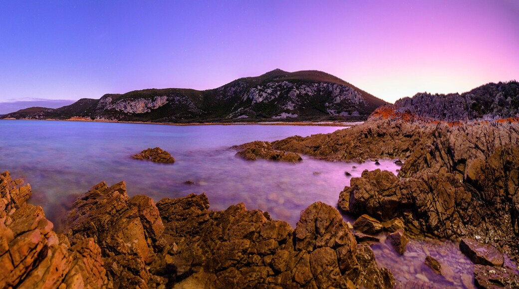 Blue hour over Burgess Cove
