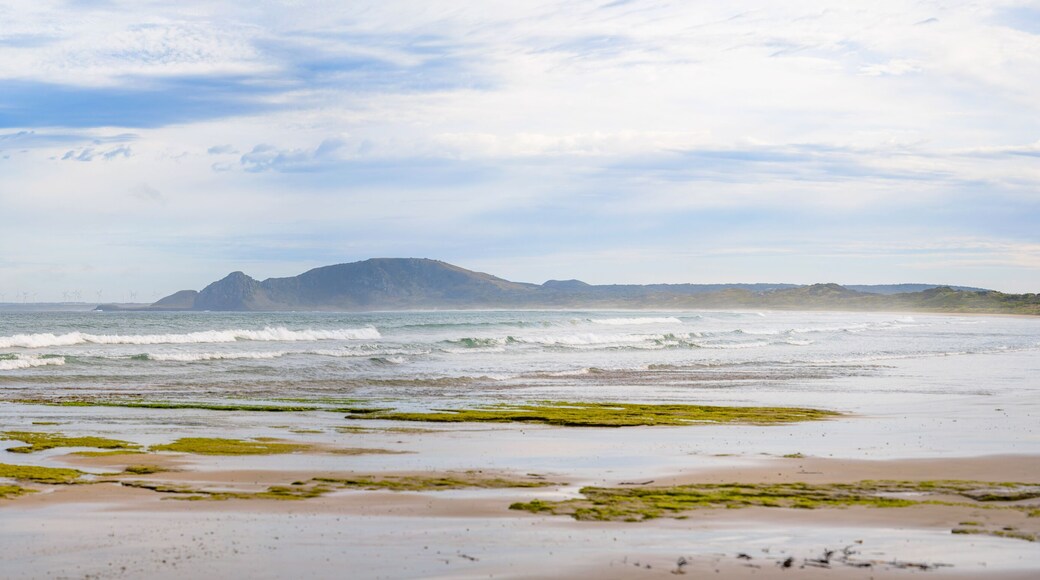 Green Point beach in Tasmania