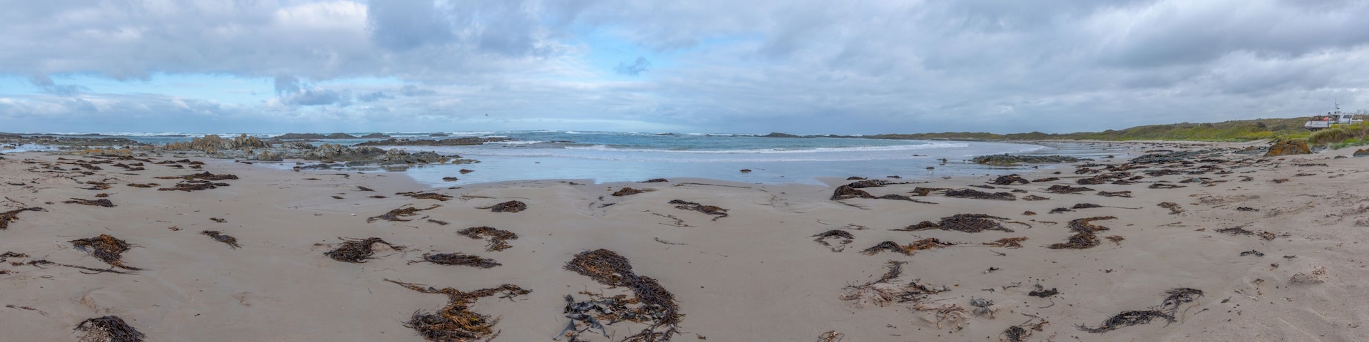 A beach with seaweed scattered across the sand and a boat in the distance.