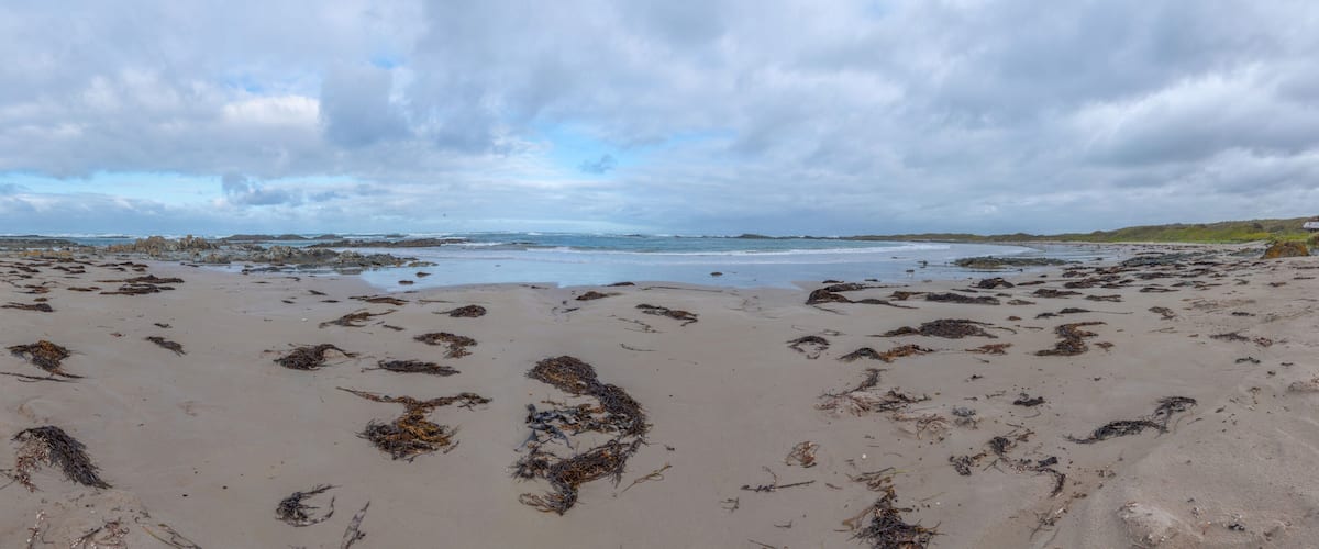A beach with seaweed scattered across the sand and a boat in the distance.
