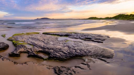 ๋ผํฌ๋ฅธ์ผ