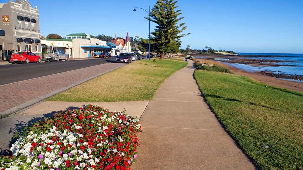 CPCY3X The main street of Penguin, Tasmania