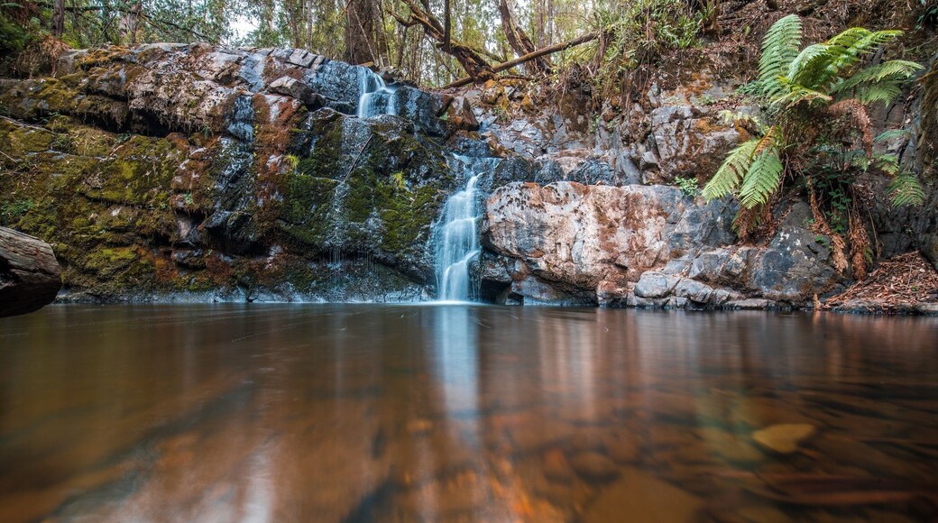 Tasmania
.
.
.
.
#fs_longexpo #longexposure #lazyshutters #waterfalls #longexposureoftheday #global_hotshotz #ic_longexpo #magicpict #longexposurephotography #dream_image #longexpohunter #chasingwaterfalls #adventure #longexpo #amazing_longexpo #ig_shotz_le #igpodium #tasmania #longexposure_shots #splendid_xposure #discoveryasmania #sonyimages #sonyalpha #sonyalphasclub #panorama #sonyphotogallery #wideangle