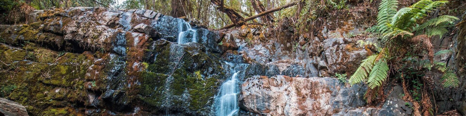 Tasmania
.
.
.
.
#fs_longexpo #longexposure #lazyshutters #waterfalls #longexposureoftheday #global_hotshotz #ic_longexpo #magicpict #longexposurephotography #dream_image #longexpohunter #chasingwaterfalls #adventure #longexpo #amazing_longexpo #ig_shotz_le #igpodium #tasmania #longexposure_shots #splendid_xposure #discoveryasmania #sonyimages #sonyalpha #sonyalphasclub #panorama #sonyphotogallery #wideangle