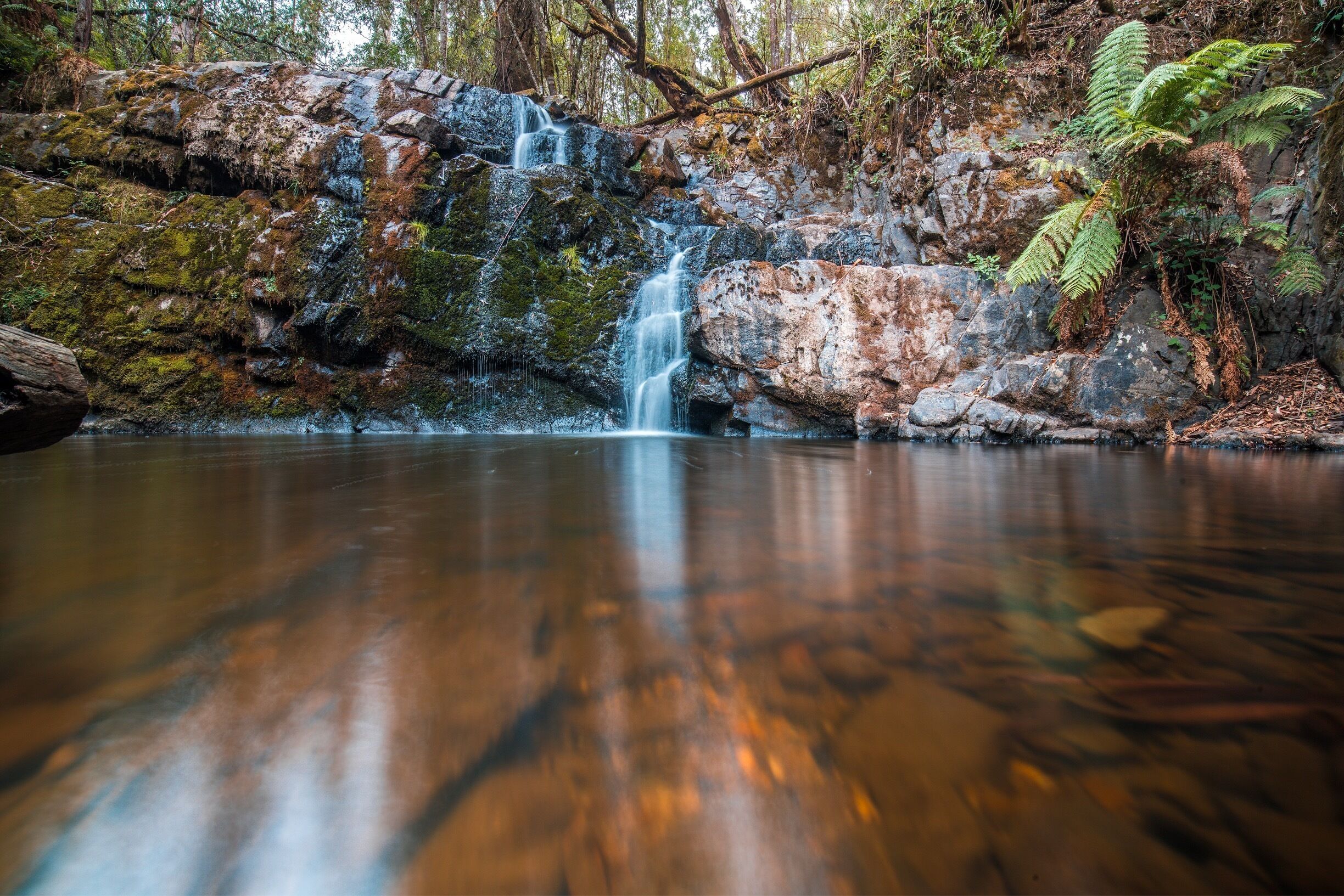 A waterfall cascading into a calm pool surrounded by moss-covered rocks and ferns.