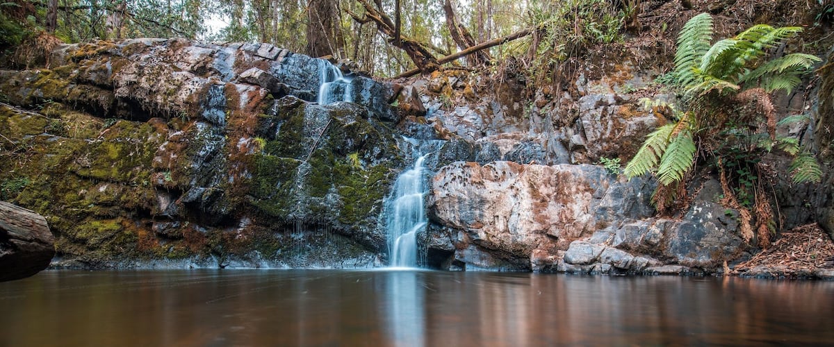 A waterfall cascading into a calm pool surrounded by moss-covered rocks and ferns.