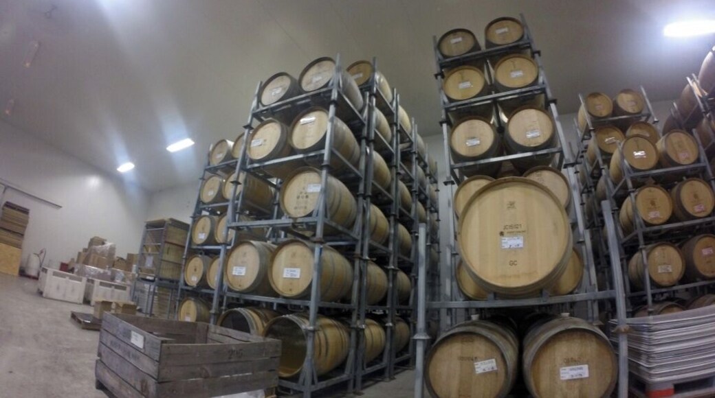 for just $25 we did an hour long tour of the grounds, tried multiple wines and sparkling wines, and got some excellent history on Josef Chromy himself (and got to meet him too), the history of the old farm, and a wonderful tour guide to guide us through.