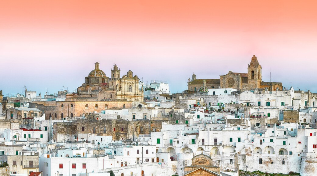 Zona de viñedos Primitivo di Manduria