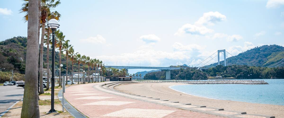 A coastal walkway with palm trees, a bridge, and a beach.