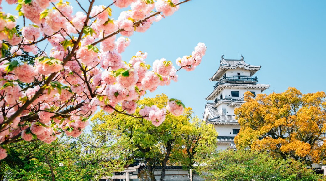 Imabari Castle at spring in Ehime, Shikoku, Japan
