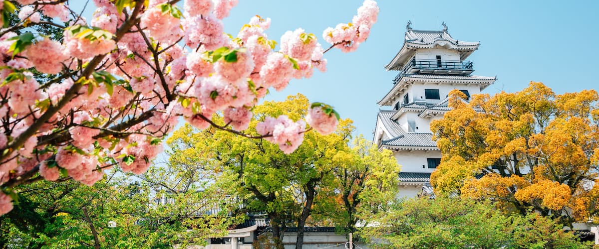 Imabari Castle at spring in Ehime, Shikoku, Japan