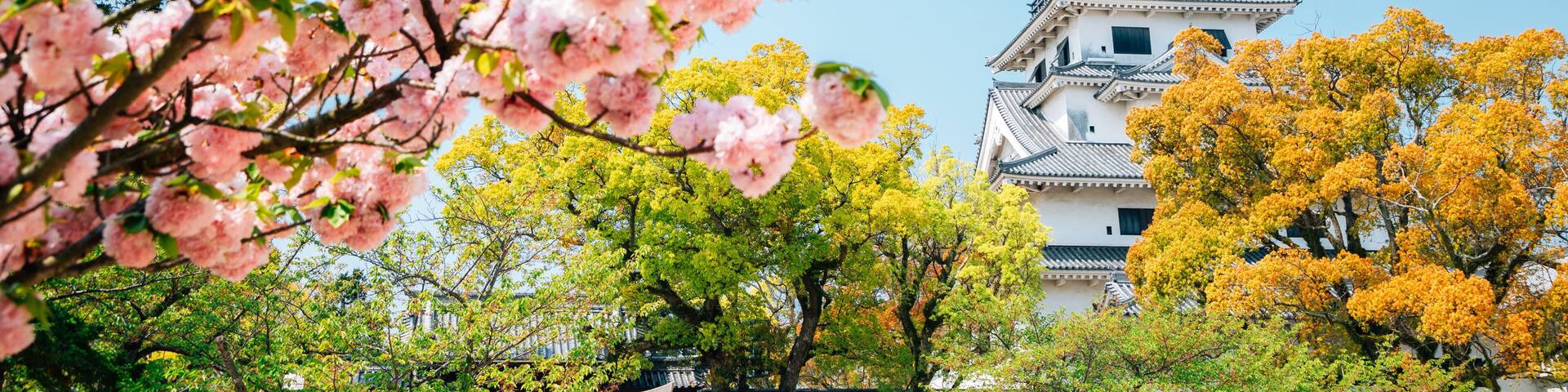 Imabari Castle at spring in Ehime, Shikoku, Japan