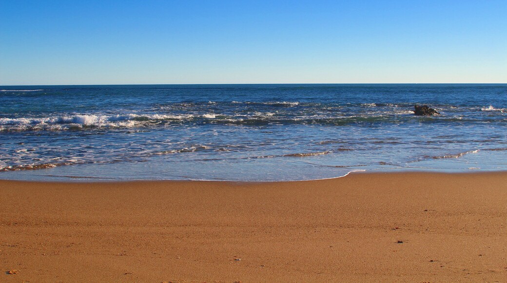 Golden sand beach, blue ocean and sky background - Port Denison, Western Australia