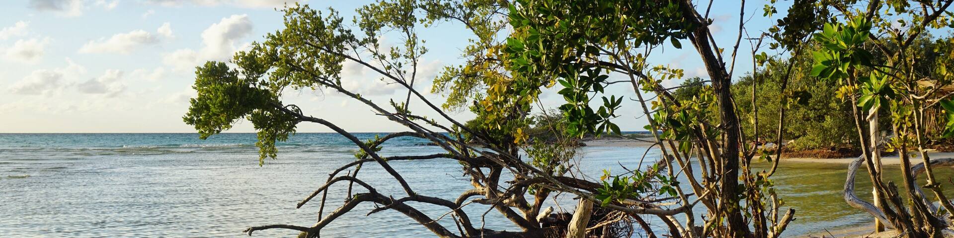 Strand auf Kuba, Cayo Coco, Jardines Del Rey