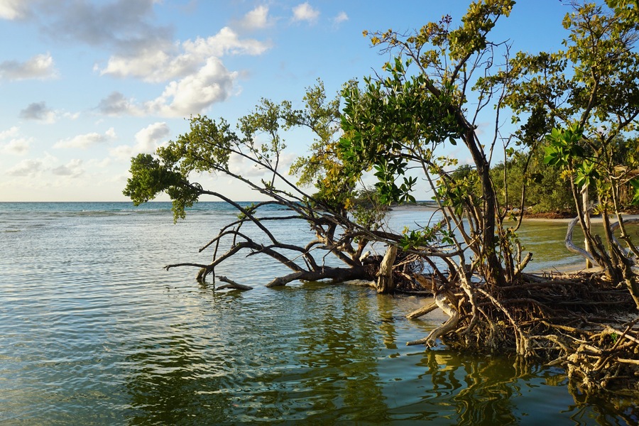 Strand auf Kuba, Cayo Coco, Jardines Del Rey