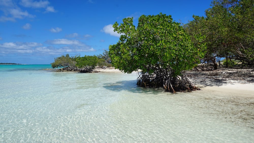Strand auf Kuba, Cayo Coco, Jardines del Rey