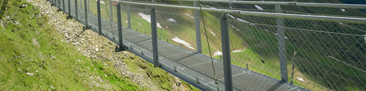 Gastein Valley which includes mountains, a suspension bridge or treetop walkway and landscape views