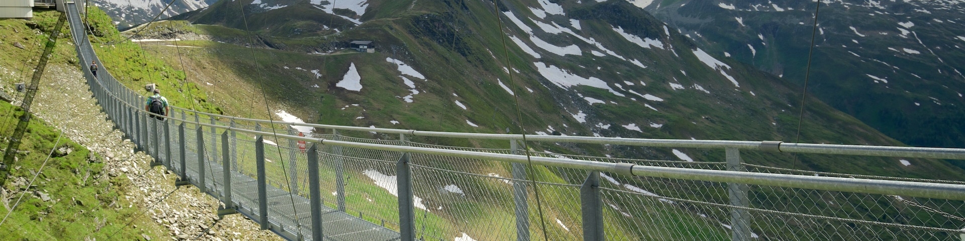 Gastein Valley which includes mountains, a suspension bridge or treetop walkway and landscape views