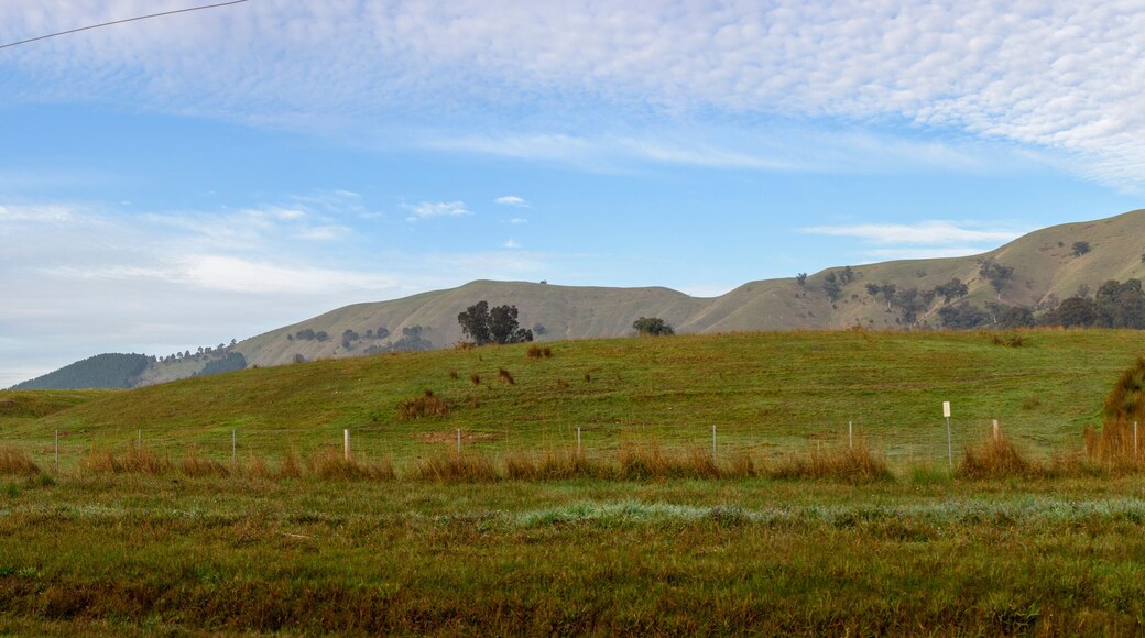 Landscape panorama in Strath Creek, Victoria, Australia