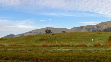 Landscape panorama in Strath Creek, Victoria, Australia