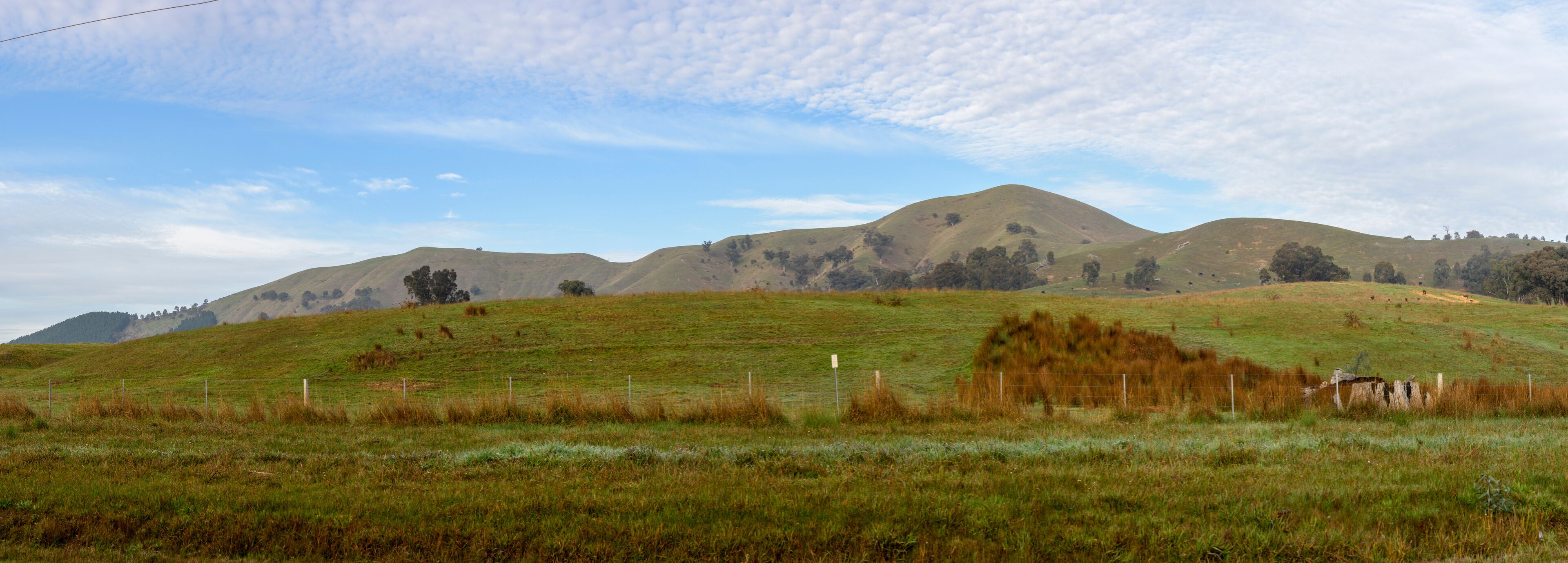 Rolling hills with sparse trees and a clear sky.