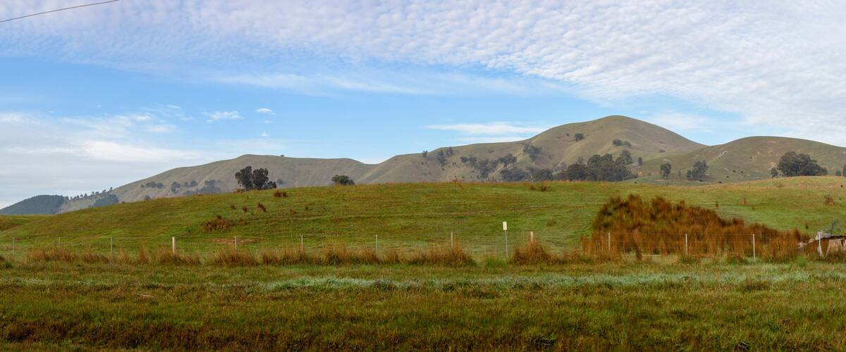 Rolling hills with sparse trees and a clear sky.