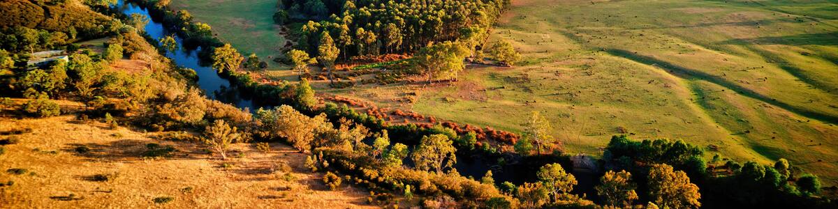 Goulburn River a Copse of Trees and Farmland Near Alexandra