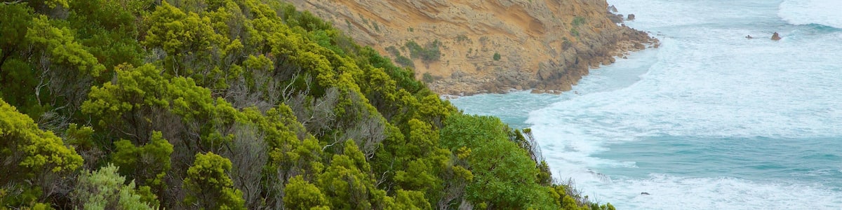 Apollo Bay das einen schroffe Küste und Berge