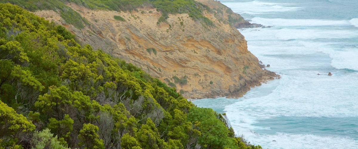 Apollo Bay which includes mountains and rocky coastline