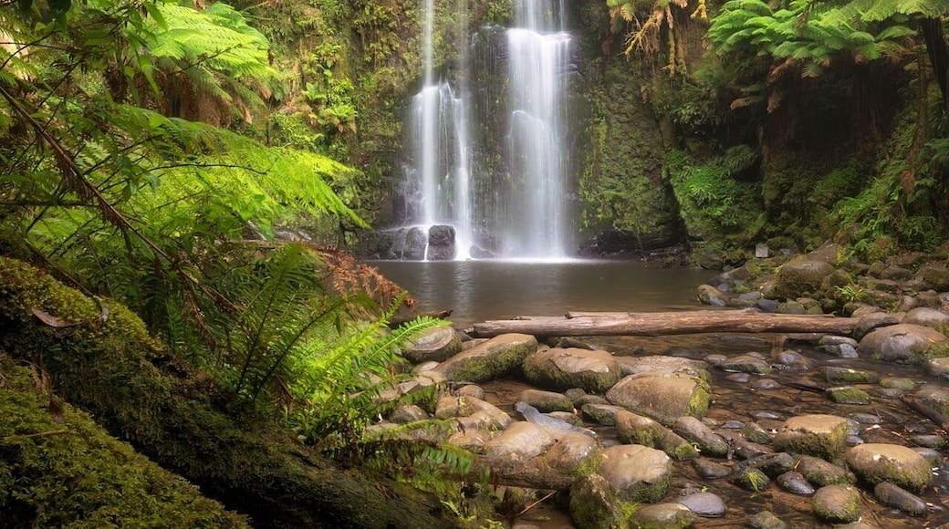 You'll find this beauty just inland from Great Ocean Road in Otway National Park. Beauchamp Falls pictured here isn't far from Hopetoun Falls which makes them both perfect to visit on the same day. A walking track leads you through magnificent Mountain Ash forests, with ancient Myrtle Beeches, large Blackwoods and thick ferns until you finally arrive to see these spectacular falls crashing over a ledge into a large pool.
I positioned myself behind some old mossy logs to the side of the clearing below the falls and some nice soft light filtered through the trees creating this beautiful scene 😍