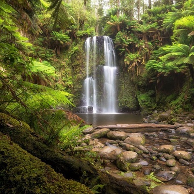 You'll find this beauty just inland from Great Ocean Road in Otway National Park. Beauchamp Falls pictured here isn't far from Hopetoun Falls which makes them both perfect to visit on the same day. A walking track leads you through magnificent Mountain Ash forests, with ancient Myrtle Beeches, large Blackwoods and thick ferns until you finally arrive to see these spectacular falls crashing over a ledge into a large pool.
I positioned myself behind some old mossy logs to the side of the clearing below the falls and some nice soft light filtered through the trees creating this beautiful scene 😍