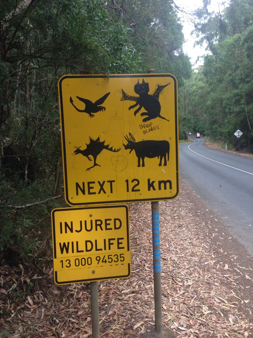 What animals should I watch out for?! This great sign can be found right after you turn into the road to Cape Otway Lightstation on the Great Ocean Road.