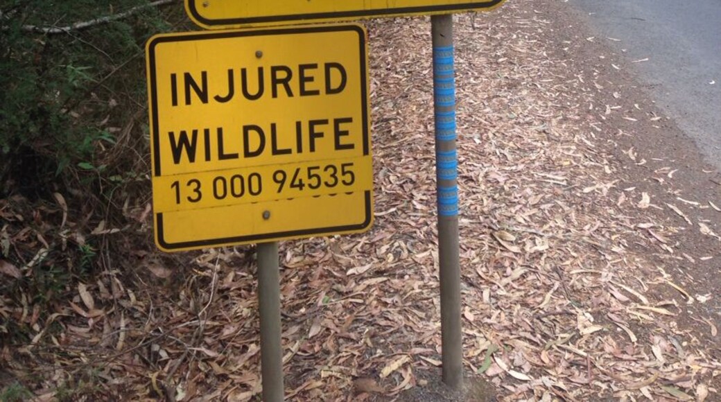 What animals should I watch out for?! This great sign can be found right after you turn into the road to Cape Otway Lightstation on the Great Ocean Road.
