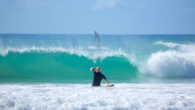 Great Ocean Road showing waves and surfing as well as an individual male