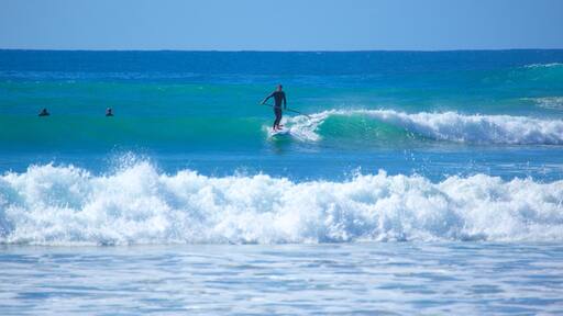 Great Ocean Road which includes surfing and waves as well as an individual male