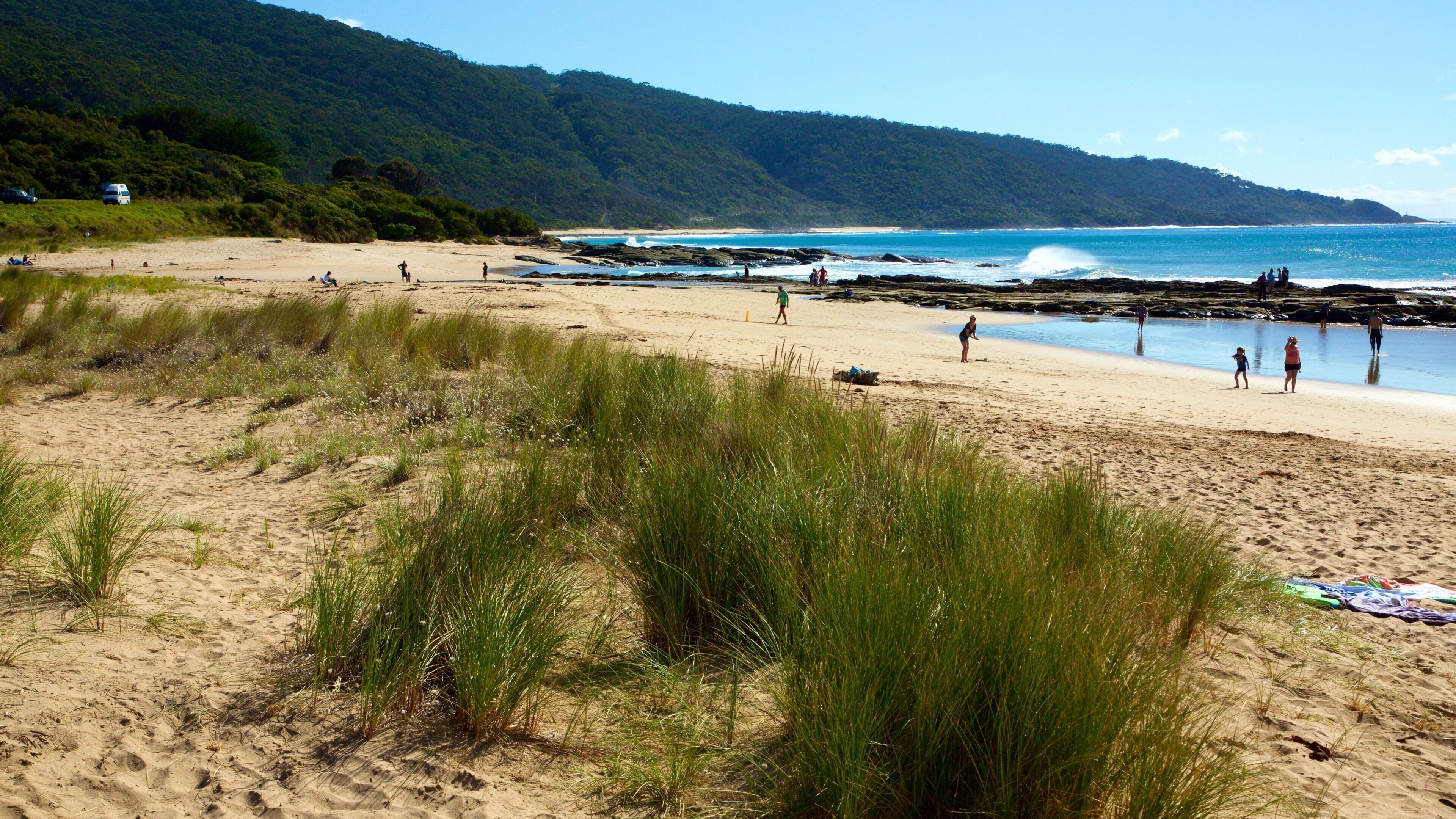 A beach with people walking along the shore, a rocky area, and a forested hillside in the background.