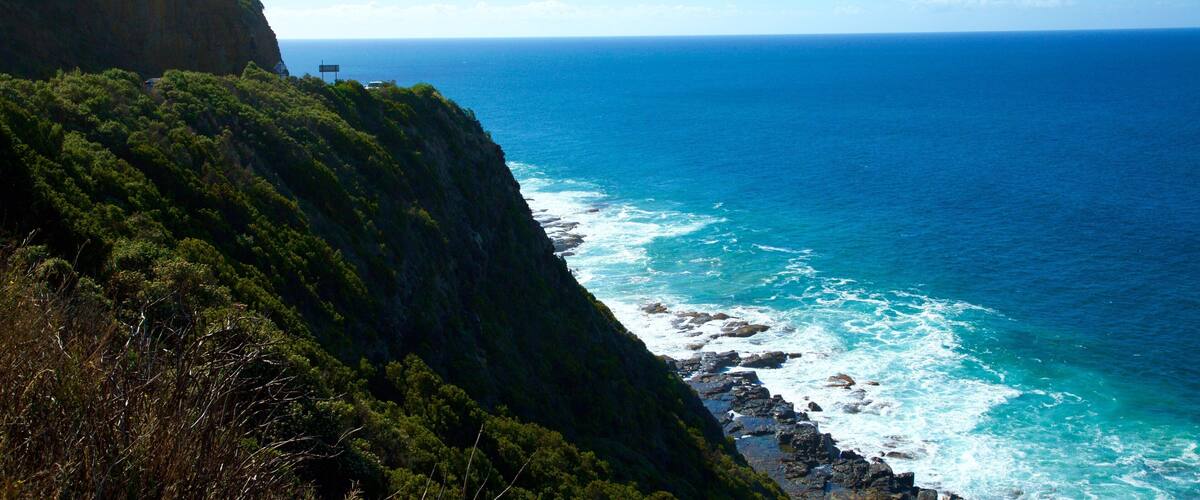 Kennett River showing rocky coastline and mountains