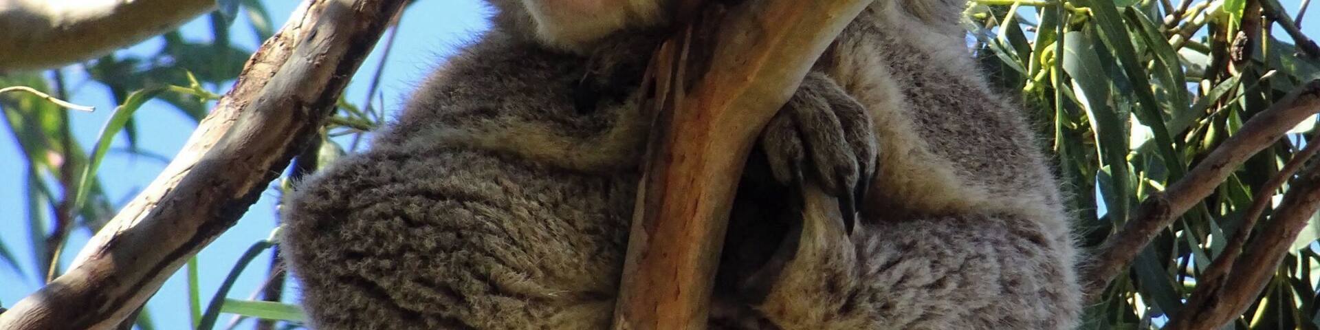 Great Ocean Road, Australia