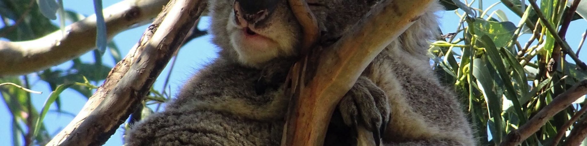 Great Ocean Road, Australia