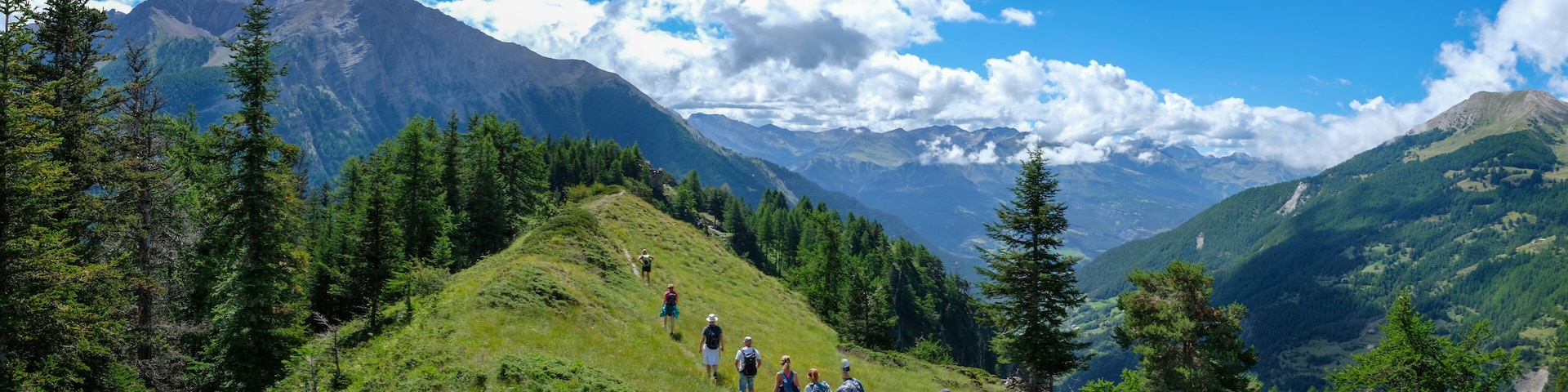 Eine Gruppe Wanderer auf einem grasbewachsenen Bergpfad, im Hintergrund dichtes Waldgebiet und hohe Berge.