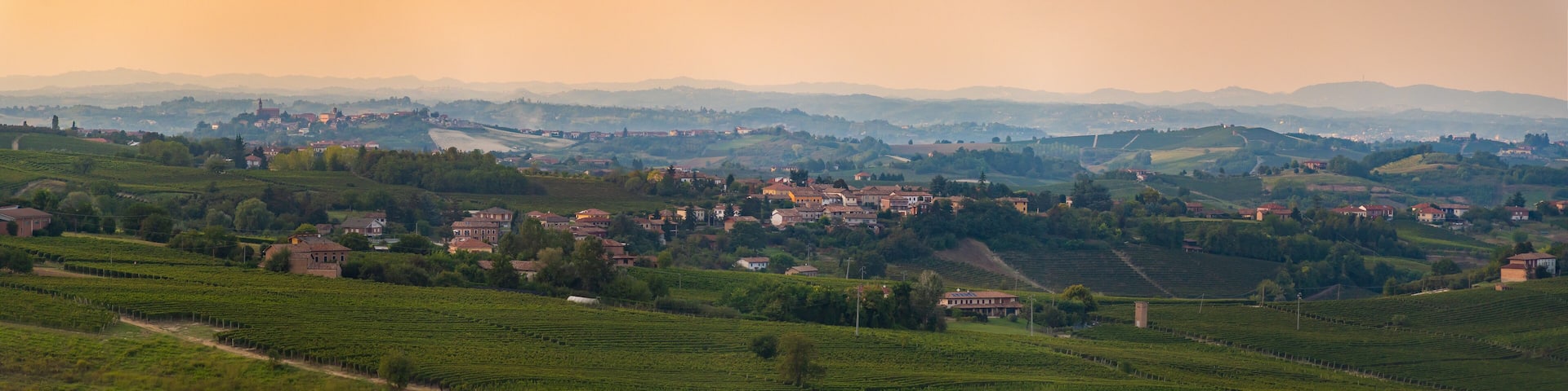Langhe vineyards sunset panorama, of the most important wine area of Italy. Unesco Site, Piedmont, Northern Italy Europe.