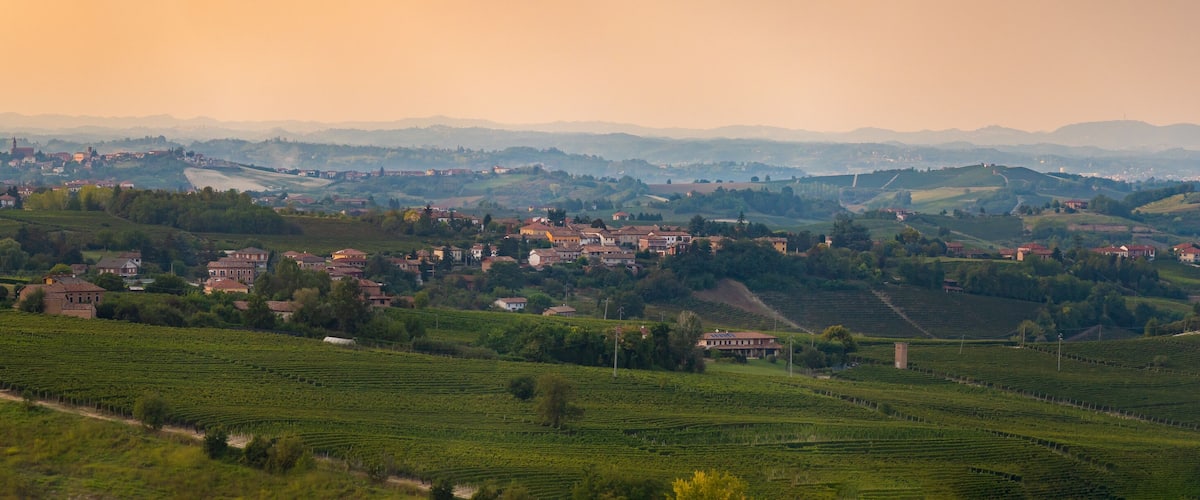 A rural landscape with vineyards, houses, and rolling hills.