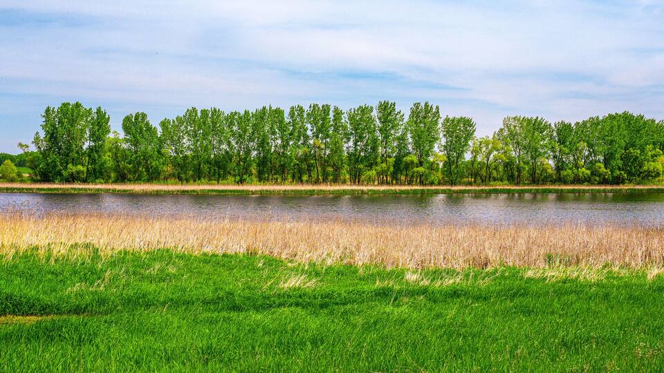 The wildlife conservation area on the lake in Hartford, Minnehaha County, South Dakota: The tranquil summer landscape of the midwestern lakeshore