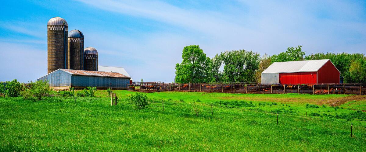 Tranquil farmland summer landscape on the green hill: The beauty of midwestern prairie in Hartford, Minnehaha County, South Dakota
