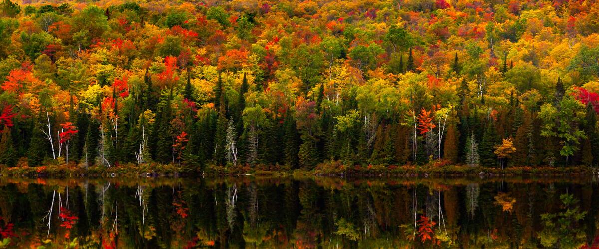 Fall colors in the Mauricie National Park , Canada