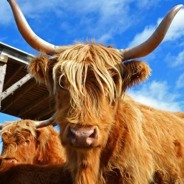 Auberge Le Baluchon - A peaceful place to escape to.  If you love the outdoors, you will be overwhelmed with all the  activities to  choose from.    4 course dinner at the restaurant after an active day followed by a long soak in a hot tub and then a sauna.  All my stresses melted away!!!  It was a dream escape and a surprise getaway for my bday.  What a treat!! 