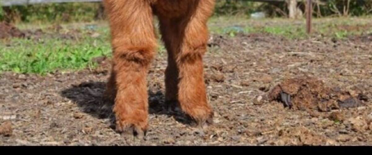 Auberge Le Baluchon - A peaceful place to escape to. If you love the outdoors, you will be overwhelmed with all the activities to choose from. 4 course dinner at the restaurant after an active day followed by a long soak in a hot tub and then a sauna. All my stresses melted away!!! It was a dream escape and a surprise getaway for my bday. What a treat!!