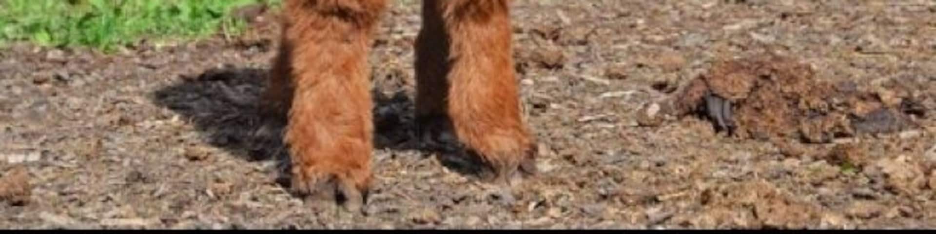 Auberge Le Baluchon - A peaceful place to escape to. If you love the outdoors, you will be overwhelmed with all the activities to choose from. 4 course dinner at the restaurant after an active day followed by a long soak in a hot tub and then a sauna. All my stresses melted away!!! It was a dream escape and a surprise getaway for my bday. What a treat!!